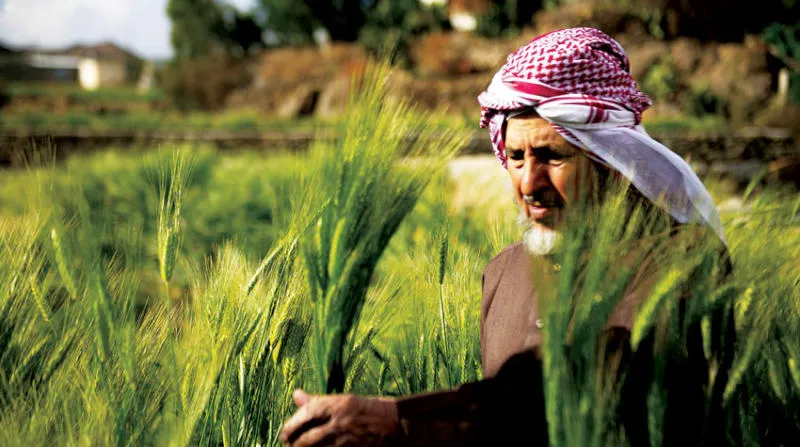 استخراج وتجديد السجل الزراعي في السعودية